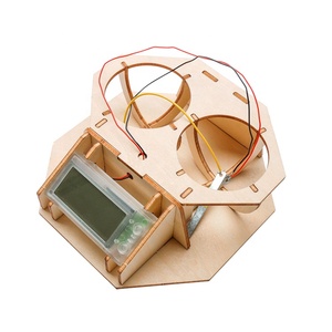 DIY Lemon Powered Clock Physics Experiment Kit